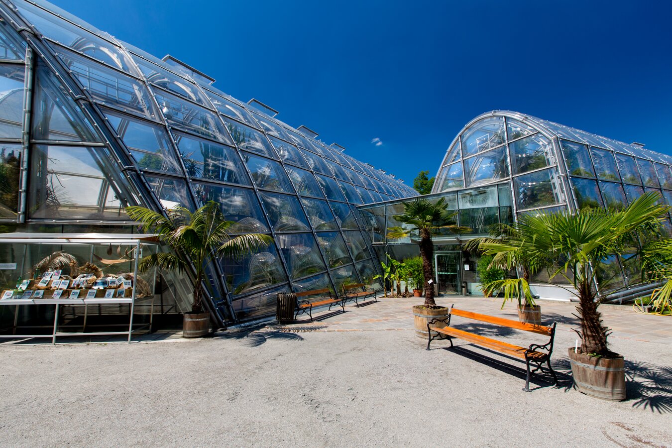 Botanischer Garten Graz Infos, Öffnungszeiten & Eintritt